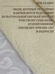 Одеяло (плед) LANATEX из натуральной овечьей шерсти. Арт. 012 - фото